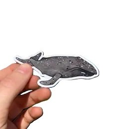 Gray Whale Sticker