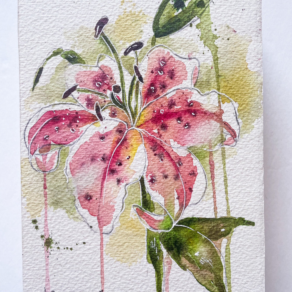 Watercolor - Stargazer Lily