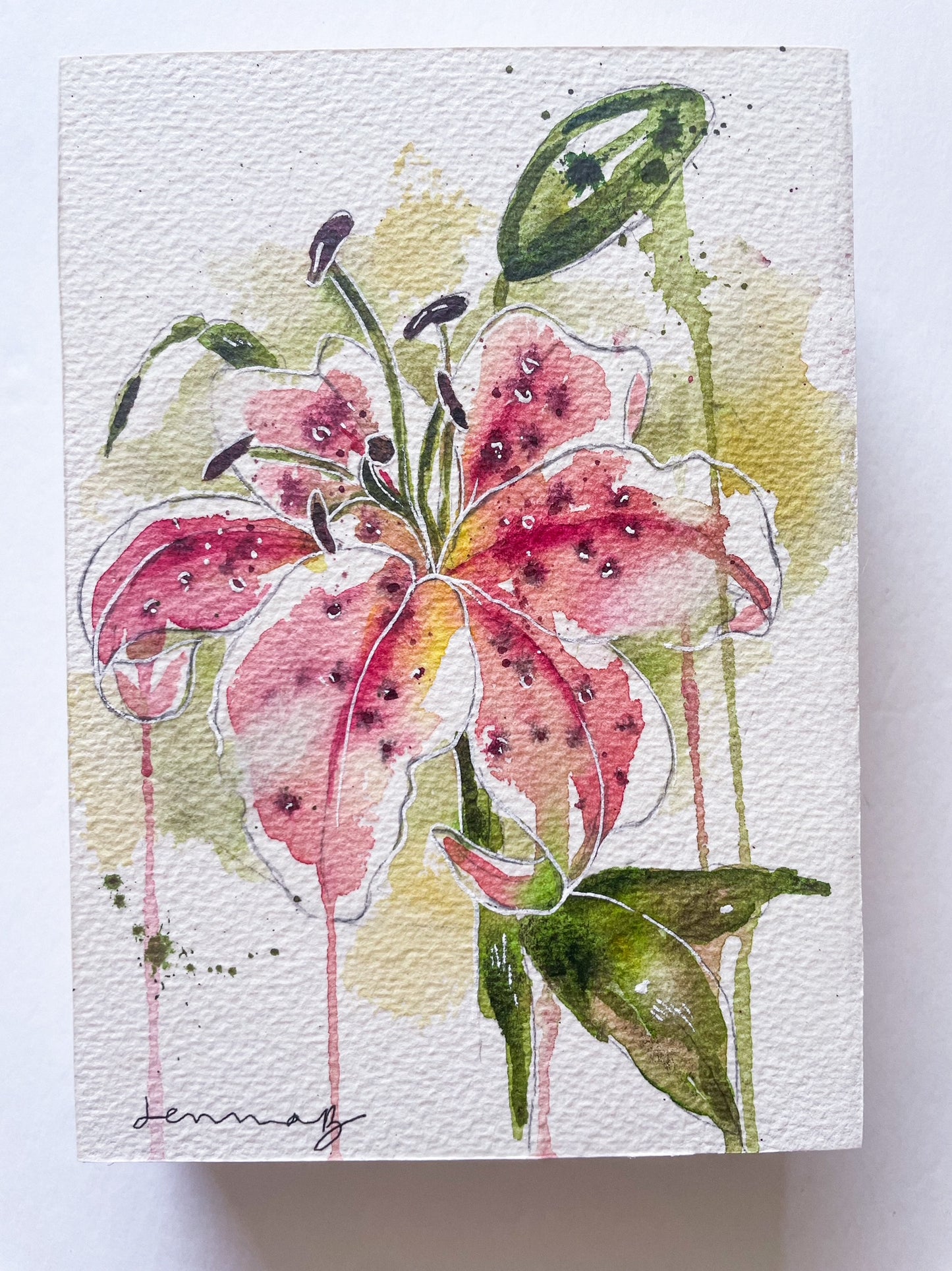 Watercolor - Stargazer Lily