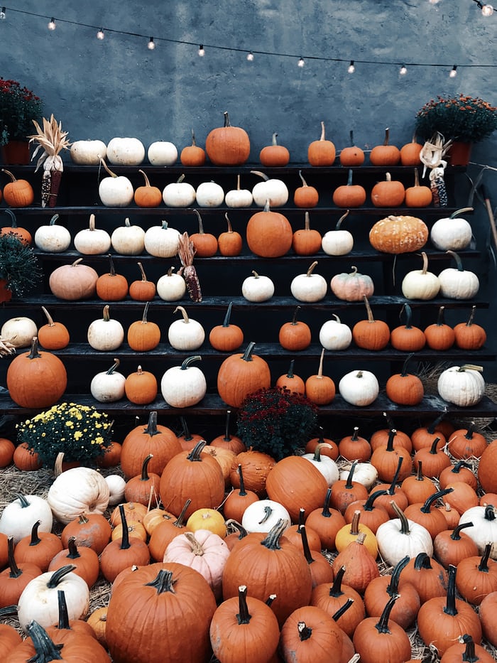 Olde Fashioned Halloween